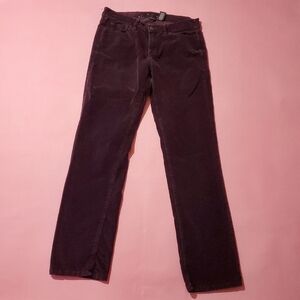 Calvin Klein Dark Plum Purple Velvet Straight Leg Jeans Fall